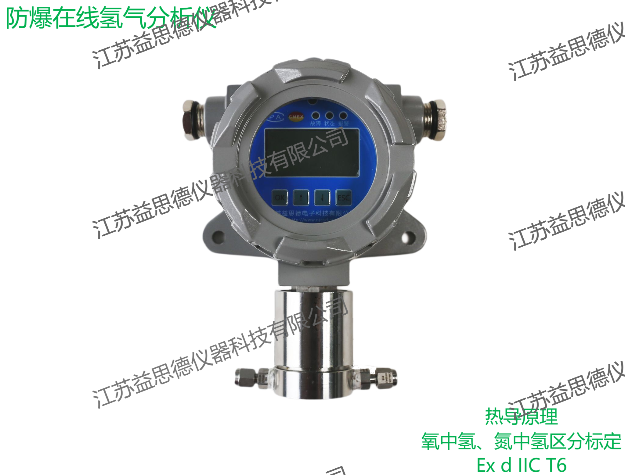 防爆在线氢气分析仪